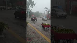 rainy season #viral #shortvideo #shorts