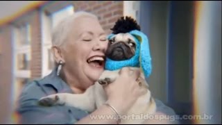 Gamma - Ofertas de Verão - Comercial de TV - Propaganda com Pug