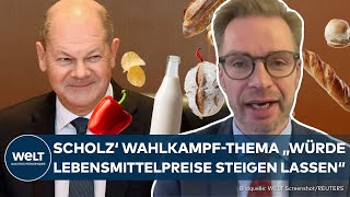 SENKUNG DER MEHRWERTSTEUER: Bund der Steuerzahler warnt vor Olaf Scholz' Idee! Preise würden steigen