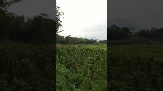 Penampakan Suasana Kampung Desa Dan Sawah Bikin Kangen Abah dan Ambu