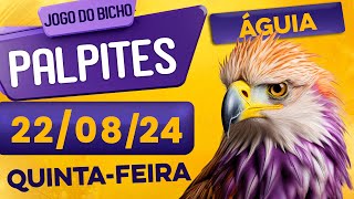 PALPITE DO DIA 22/08/2024 - JOGO DO BICHO 🍀 TODAS AS LOTERIAS 🍀