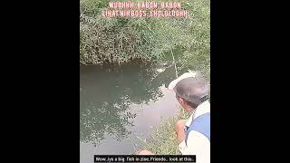 Moment Mancing Ngakak / Funny Fishing Moment #Shorts