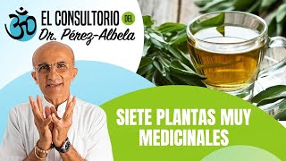 Siete plantas muy medicinales  | #ElConsultorioDelDr.PérezAlbela👨‍⚕🥗🏃‍♀