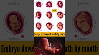 Development stages of human embryo month by month | भ्रूण का विकास 5 सप्ताह #embryo #short