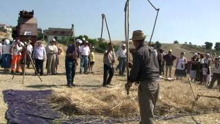 Sant'Arcangelo Trimonte - XV Festa sull'Aia - I Battitori di Beltiglio