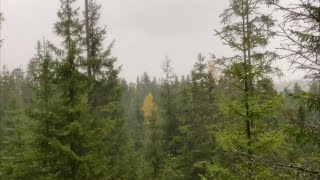 Autumn in Norway