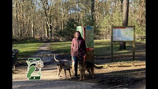 Losloopgebied Hoorneboegse heide / Zwarte berg Hilversum