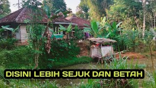 suasana Kampung Terpencil di pelosok Cianjur selatan Sejuk dan bikin betah