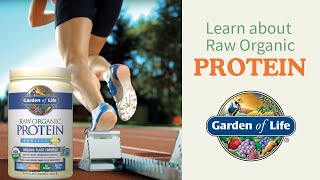 Raw Organic Protein Powder by Garden of Life