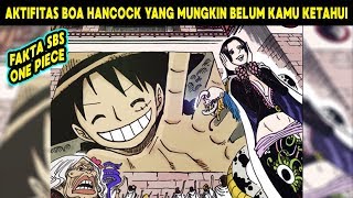 Ini yang Dilakukan Boa Hancock Selama & Setelah Time Skip Luffy ! (Fakta SBS One Piece)