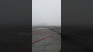 Vistara Airbus A320 Majestic Entry in Delhi Fog