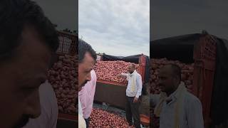 Nashik Onion Mandi -: प्याज मंडी