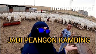 ANGON KAMBING GENDUT2. MASA ALLAH !!!!