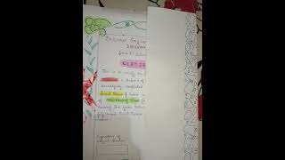 Social Issues Class 10 social science project || Project Border Design  #design