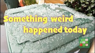 Something weird happened in California today - Ice Rain (Mưa Đá) -  #207