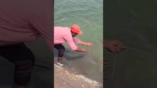 Krishna River 🎣 Fish Hunting #shorts#youtubeshorts#shortvideos#