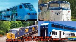 Tri-Rail, Amtrak, And CSX Action @ West Palm Beach