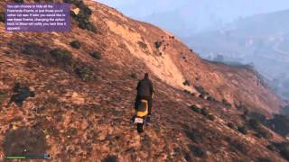 Grand Theft Auto V fuking tree