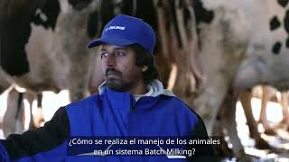 DeLaval VMS™ Batch Milking