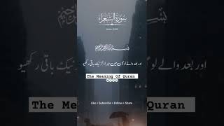 Quran Tilawat Best Voice Of Quran Tilawat Verse Only Urdu Translation | Recitation Voice Of Quran 😊