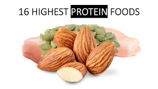 16 Highest Protein Foods