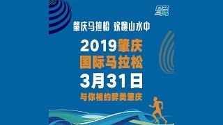 《養命走》肇慶馬拉松 2019 - 前半程