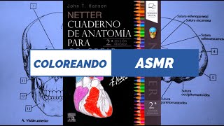 ASMR - Coloreando el NETTER