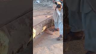 cut the wood#shortvideo #shortvideo