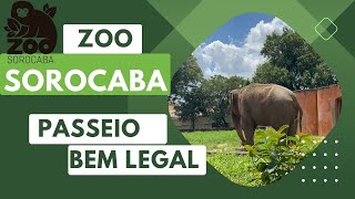 Zoo Sorocaba