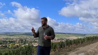 The French Wine Centre - France 2020 - Update 6