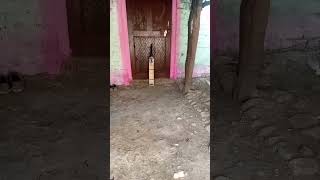 spin ball kese Dale 👿😎#viral #cricket #video  #cricketlover #cricketlover  #cricketnews #shorts