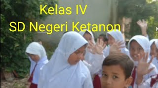 Bentuk Tulang Daun, belajar dengan alam sekitar.SD Negeri Ketanon Kelas IV Kurikulum Merdeka