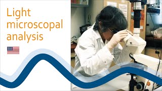 Light microscopal analysis - Ultrawaves GmbH