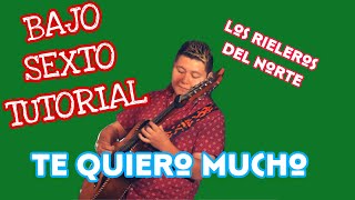 Te Quiero Mucho - Los Rieleros del Norte (TABS Bajo Quinto Tutorial)