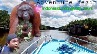 present #indonesia_orangutan_tours #tanjungputingnationalpark #orangutankalimantan #houseboattour