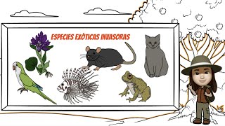 Cuidado con las especies exóticas invasoras