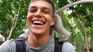 Деревенская жизнь на Бали. Raw Веган еда в ресторанах Убуда. Monkey forest