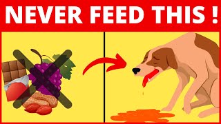 Ten Foods that Will Kill your Dog in 2022 | 10 Dangerous Foods Your Dog Should Never Eat