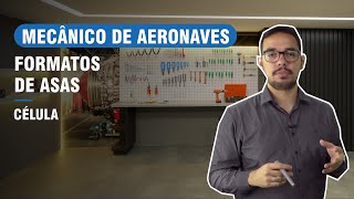 FORMATOS DE ASAS - CURSO DE MECÂNICO DE AERONAVES (CÉLULA)