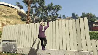 GTA 5 Online but I have a Heart attack