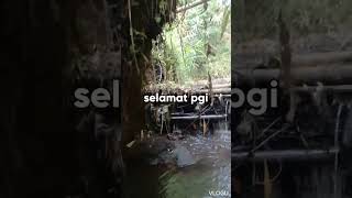 selamat pgi. indah ny mentari #vidioshortviral#youtubeshort#berandayoutube#@arifsoderderi2442