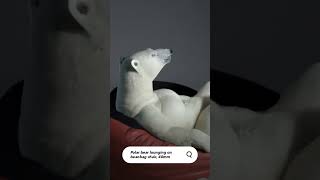 Asking AI for a polar bear lounging in a bean bag. #ai #art #short