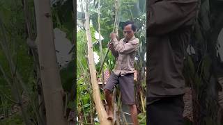 Video lucu bikin sakit perut #memelucu #funnyvideos #shorts