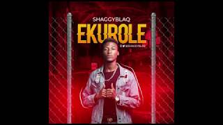 Shaggyblaq - Ekurole