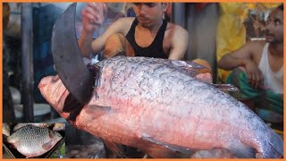 Best Cutting Skills | Fresh Rohu Fish Cutting By Expert Fish Cutter