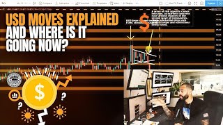 USD Moves Explained and Where is it Going Now?