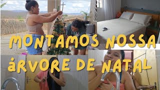 MONTAMOS NOSSA ÁRVORE DE NATAL / FUI NA CIDADE FAZER EXAMES.