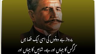 allama iqbal predicts palestine and israel war | iqbal poetry | Urdu Poetry | #trending  #viral #bts