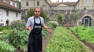 Le Potager du Château de Prangins - Les engrais verts