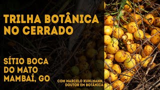 Trilha Botânica no Cerrado - Sítio Boca do Mato, Mambaí, GO